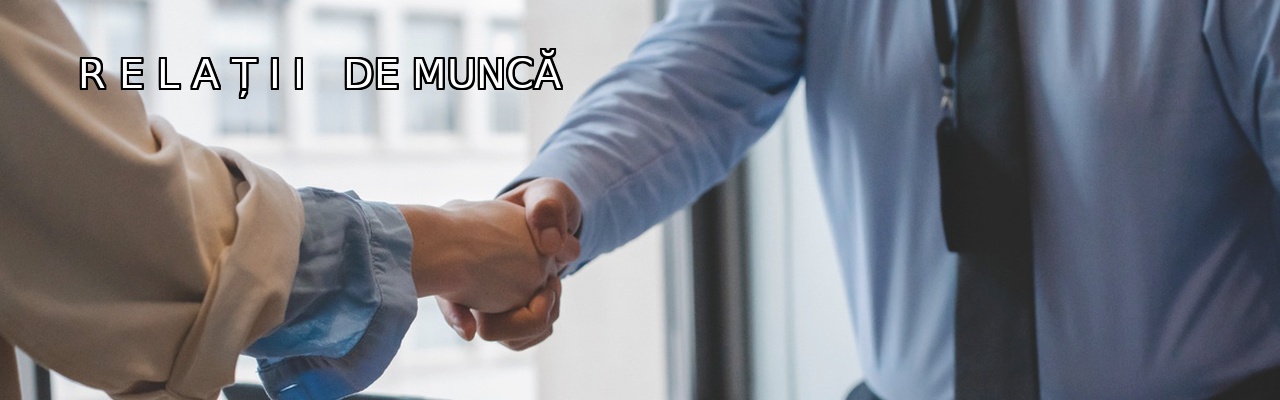 Relații de Muncă