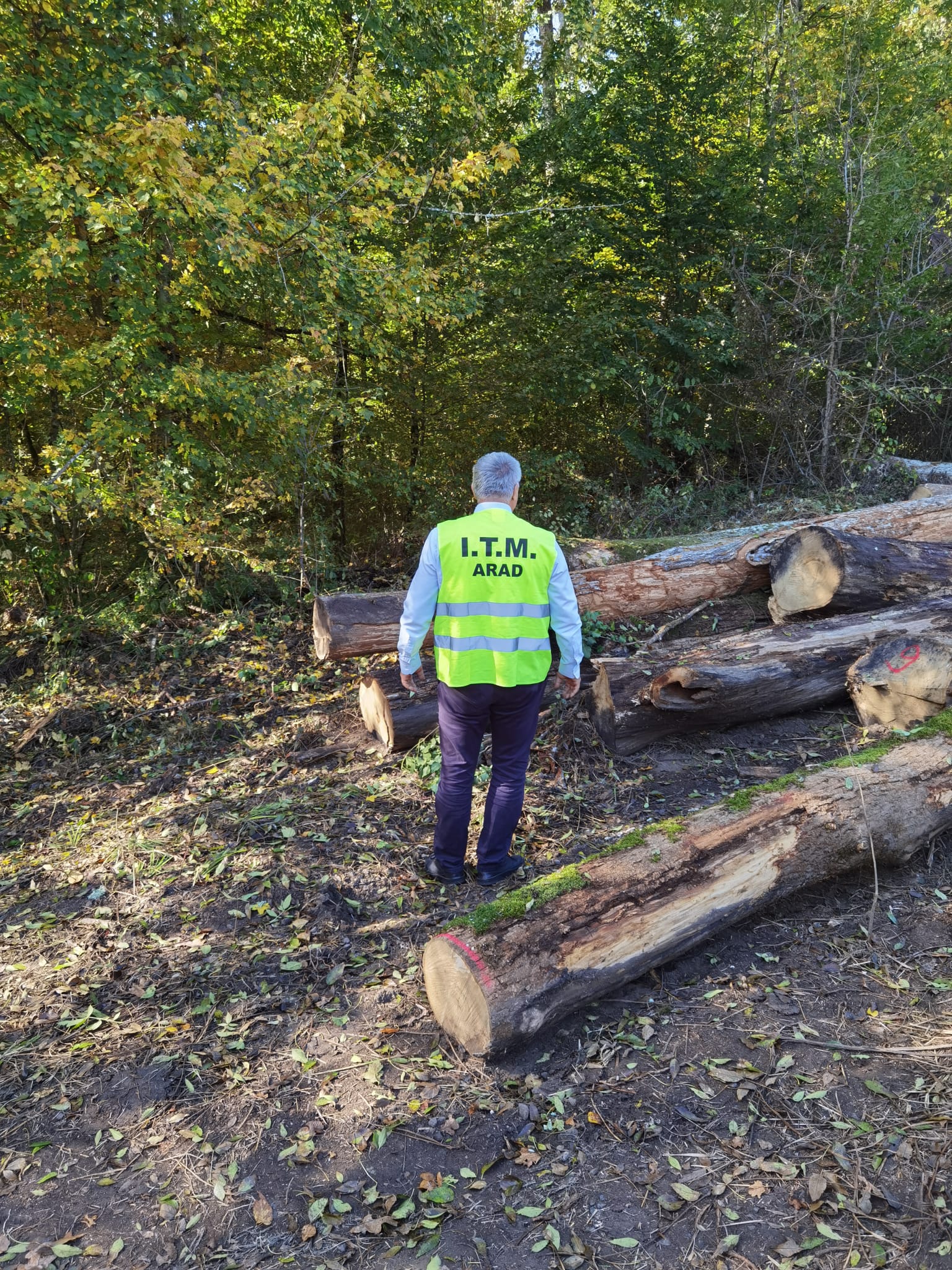 Actiune de control in parchetele forestiere, inclusiv la transportul tehnologic al masei lemnoase pe drumurile forestiere